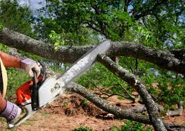 Leaf Removal in Desloge, MO